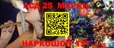 индика Беслан