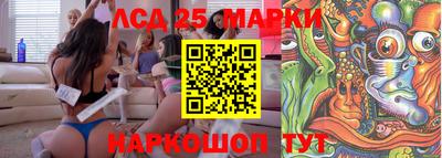 индика Беслан