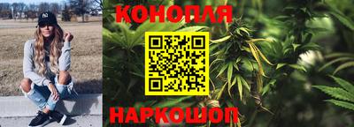 индика Беслан