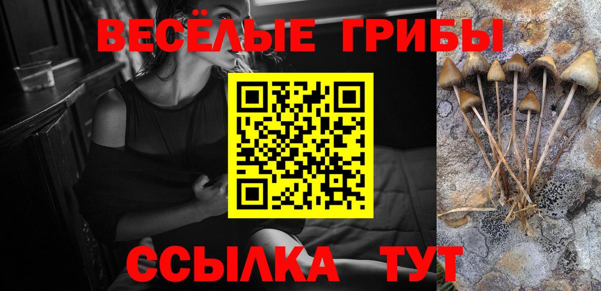 Галлюциногенные грибы ЛСД Шатура