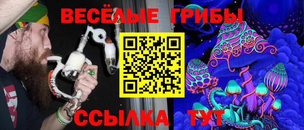 Галлюциногенные грибы Psilocybine cubensis  Галлюциногенные грибы Psilocybine cubensis  Шатура 